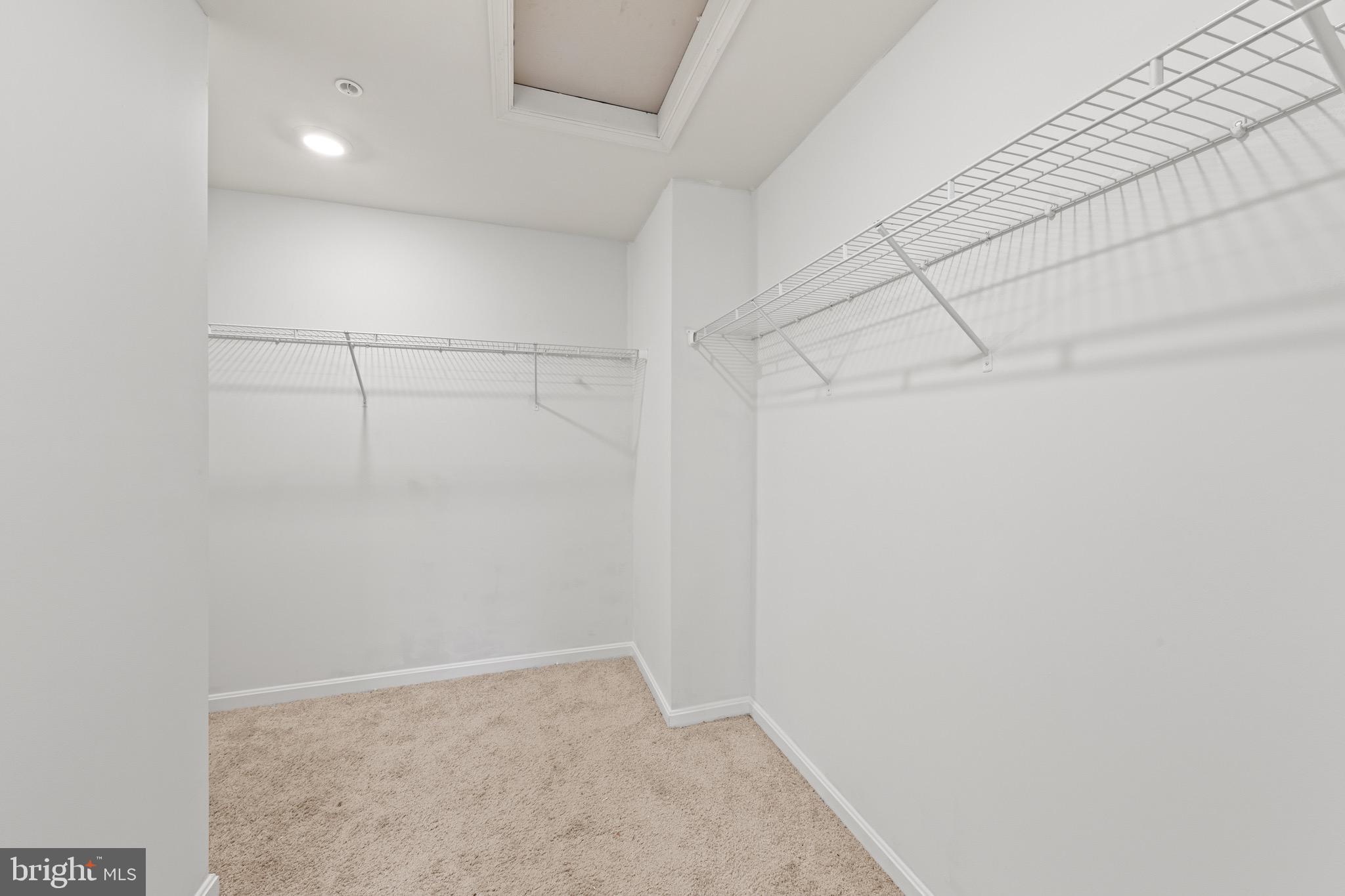 SASSAFRAS MEADOWS - Residential