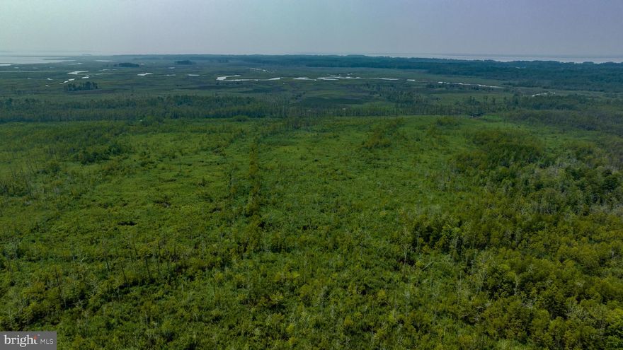 Welcome to Muddy Hole Road, a captivating property nestled in the heart of Tyaskin, MD. This unique listing offers an exceptional opportunity for hunters seeking the perfect retreat. Allow me to paint a picture of the unparalleled features and natural wonders that await you.

Nestled within an expansive woodland landscape, Muddy Hole Road encompasses a vast expanse of lush wilderness spanning over 68 acres. As you traverse through the property, you'll be greeted by a harmonious blend of dense forests, gently rolling marsh, and serene grasslands. The enchanting atmosphere is a sanctuary for wildlife, making it a haven for avid hunters.

For those seeking a captivating hunting experience, Muddy Hole Road presents one of the best options. The diverse topography boasts an array of game habitats and has become a sanctuary for white-tailed, sika deer, turkey, and duck. The property's strategic positioning in the heart of Maryland's hunting region ensures a rich and abundant wildlife population, promising an exhilarating pursuit for hunters of all skill levels.

The property's accessibility further adds to its appeal. With approximately 1800 feet of road frontage, Muddy Hole Road provides convenient access to various areas throughout the property, making it effortless to explore different hunting grounds and set up blinds or stands in prime locations. Additionally, the tranquil nature of the surroundings guarantees a serene hunting experience, far away from the hustle and bustle of city life.

Beyond its exceptional hunting potential, Muddy Hole Road offers additional amenities to enhance your experience. The property's proximity to nearby recreational areas and the Ellis Bay Wildlife Management offers the chance to expand your hunting horizons. 

With a short drive, you can easily get to nearby restaurants and amenities including: The Red Roost (1.4 miles), Bull Lips Dock Bar (1.9 miles), Boonies (3.9 miles), The Cedar Hill Deli (4.2 miles), Wade's Service Station (4.3 miles), Roaring Point (6 miles), and Cedar Hill Marina (5 miles). 

Muddy Hole Road is not just a property; it's a sanctuary for hunters, a place where nature's beauty and the thrill of the hunt converge. Don't miss this incredible opportunity to own your personal hunting paradise in Tyaskin, MD. Contact us today to embark on an unforgettable journey into the heart of the wild.

LOT PACKAGE AVAILABLE - Listed in conjunction with MLS #'s MDWC2009964 (22452 CAPITOLA RD, TYASKIN, MD 21865 - 0.5 acre lot with old house) and MDWC2009966 (0 JESTERVILLE RD, TYASKIN, MD 21865 - approximately 21 acres)