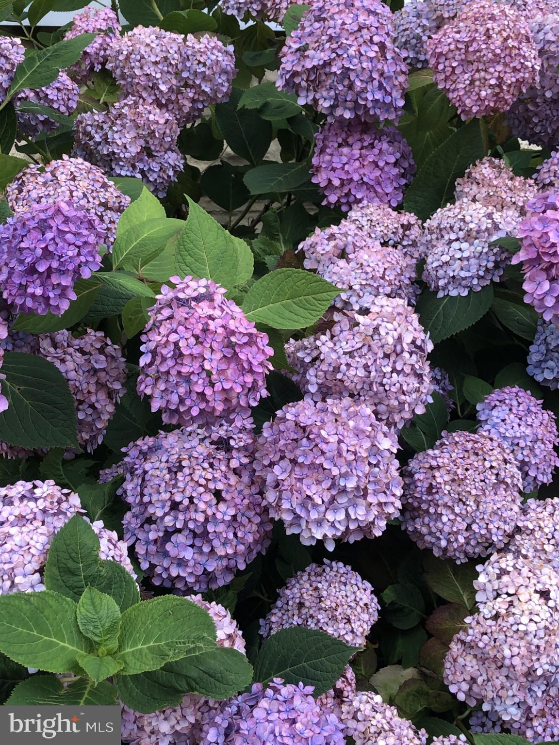 CHERRYDALE - Residential