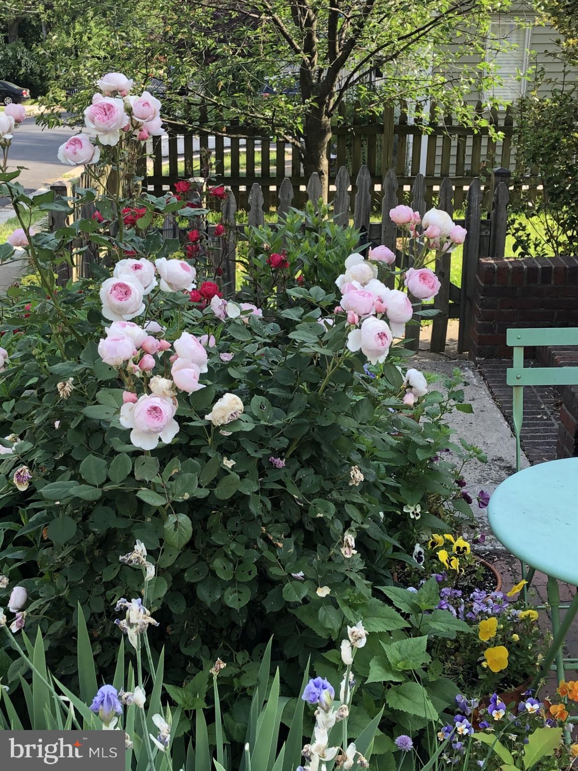 CHERRYDALE - Residential