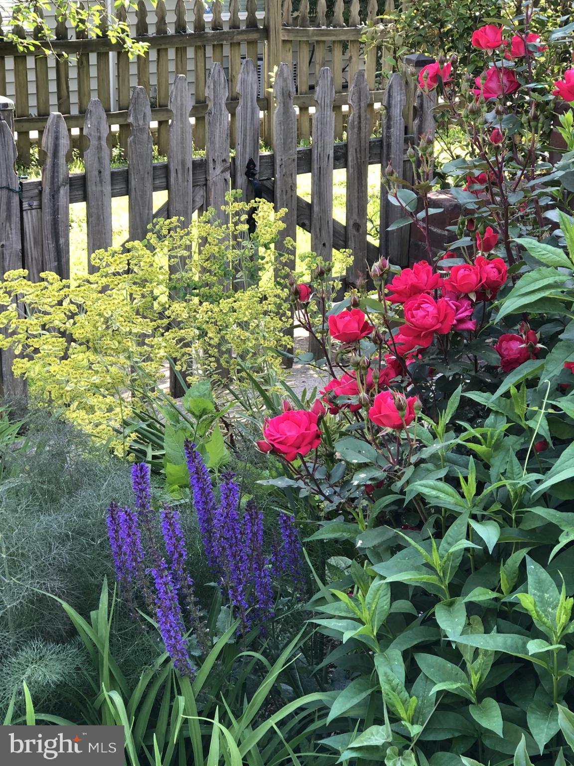 CHERRYDALE - Residential