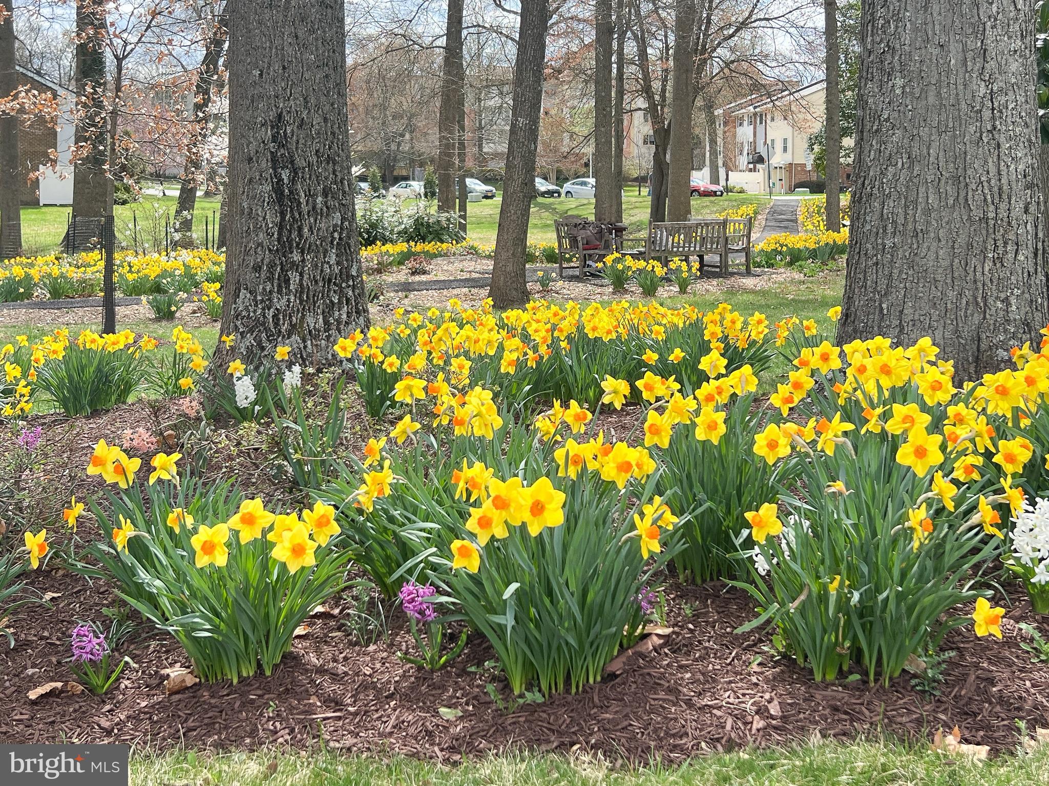 LEISURE WORLD - Residential