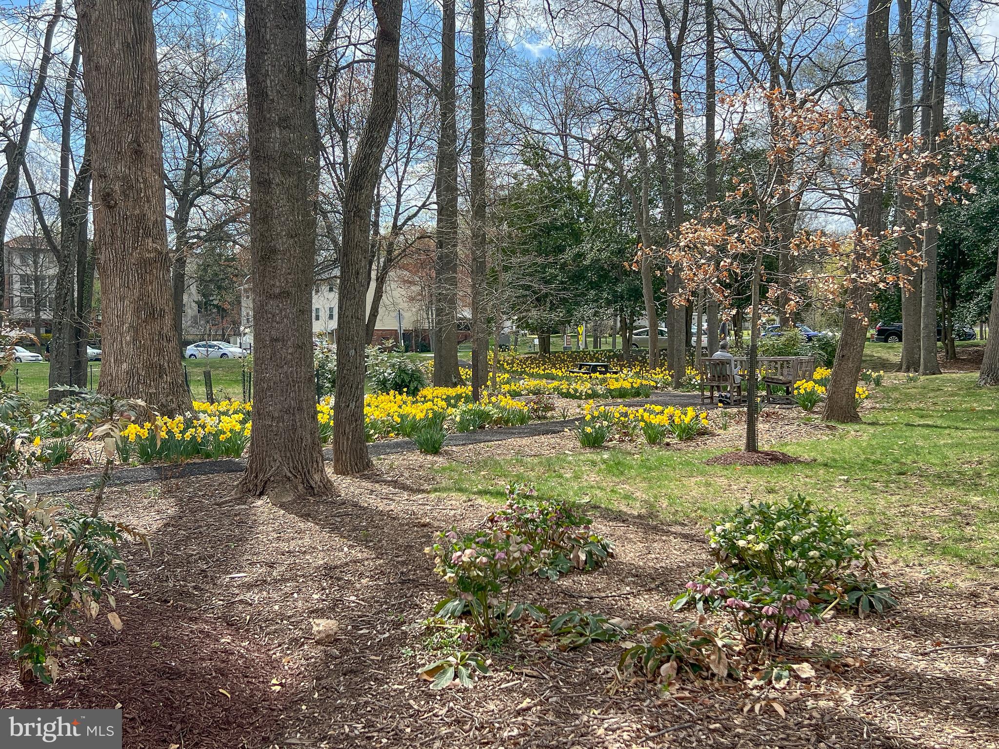 LEISURE WORLD - Residential