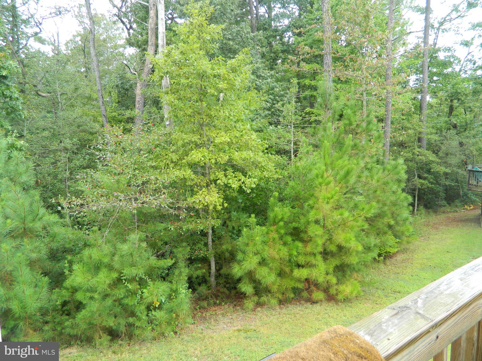 DAHLIA PARK OF WILDEWOOD - Residential Lease