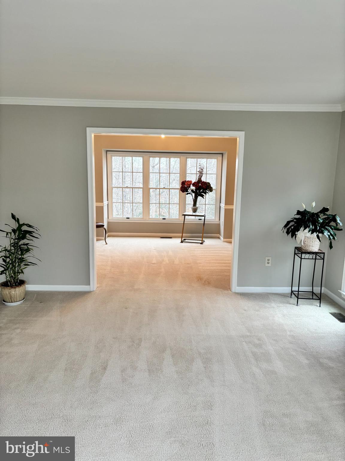 LAKE RIDGE - SPRINGWOODS - Residential