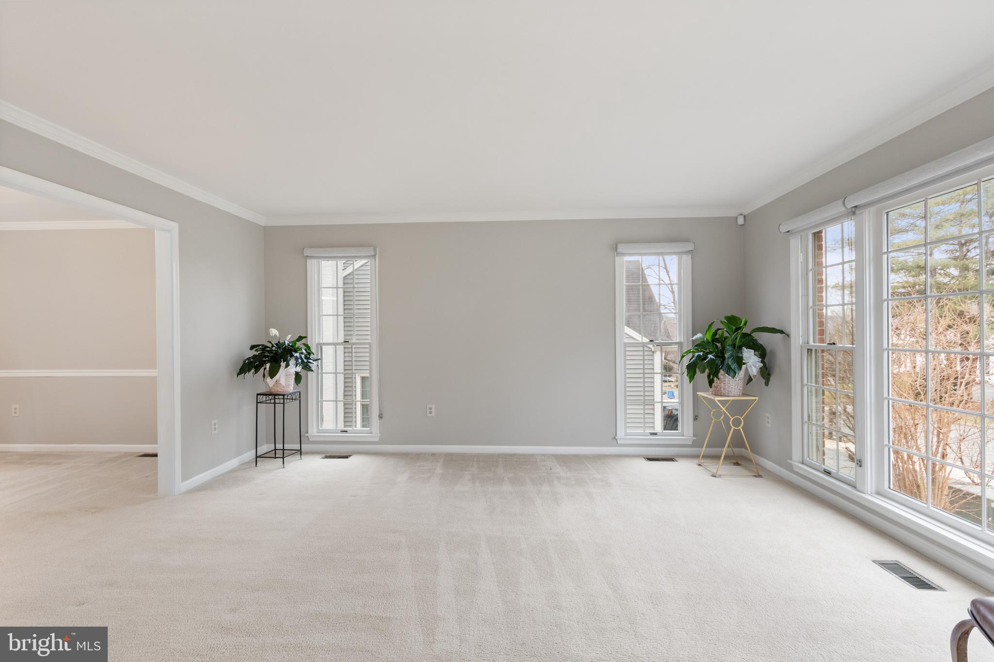 LAKE RIDGE - SPRINGWOODS - Residential