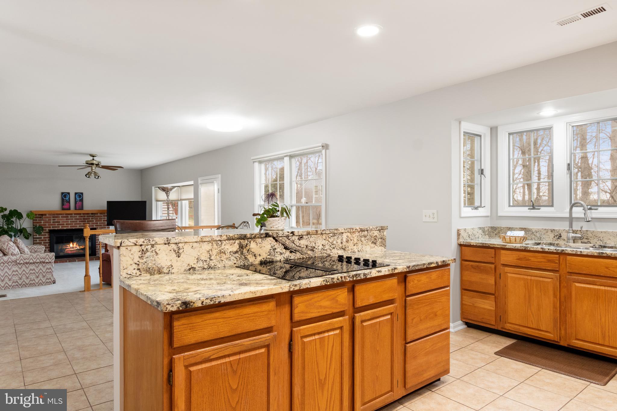 LAKE RIDGE - SPRINGWOODS - Residential