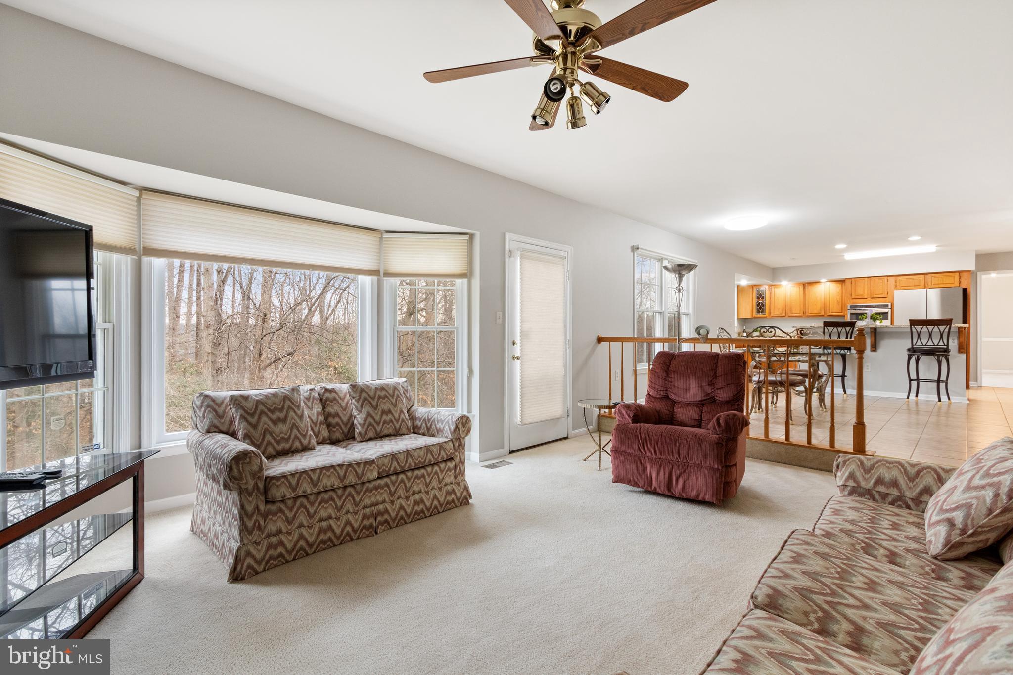 LAKE RIDGE - SPRINGWOODS - Residential