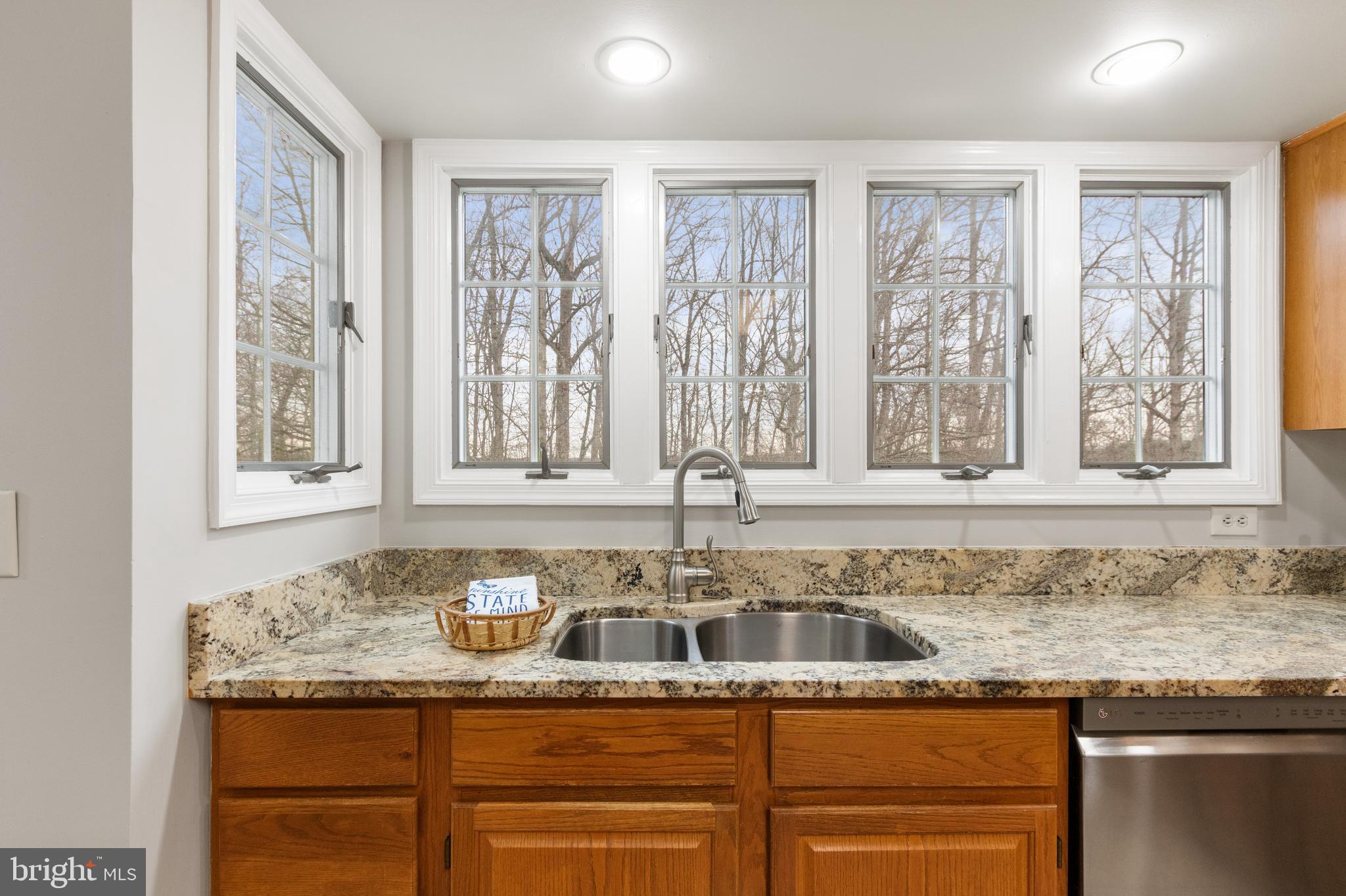 LAKE RIDGE - SPRINGWOODS - Residential