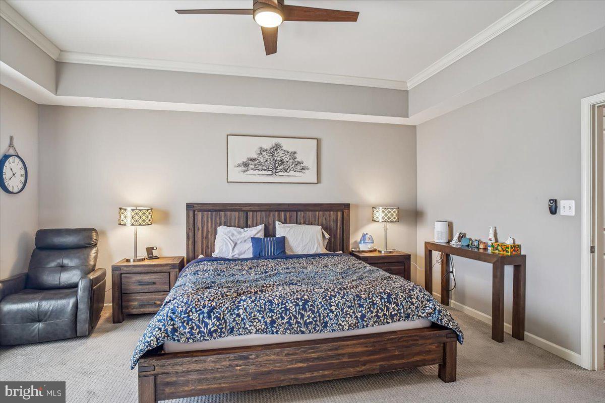 CABIN BRANCH - Residential