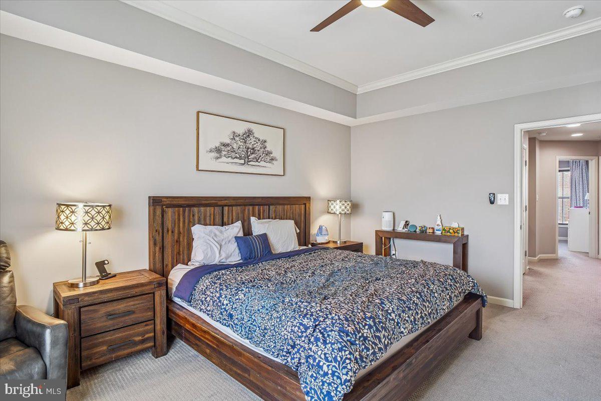 CABIN BRANCH - Residential