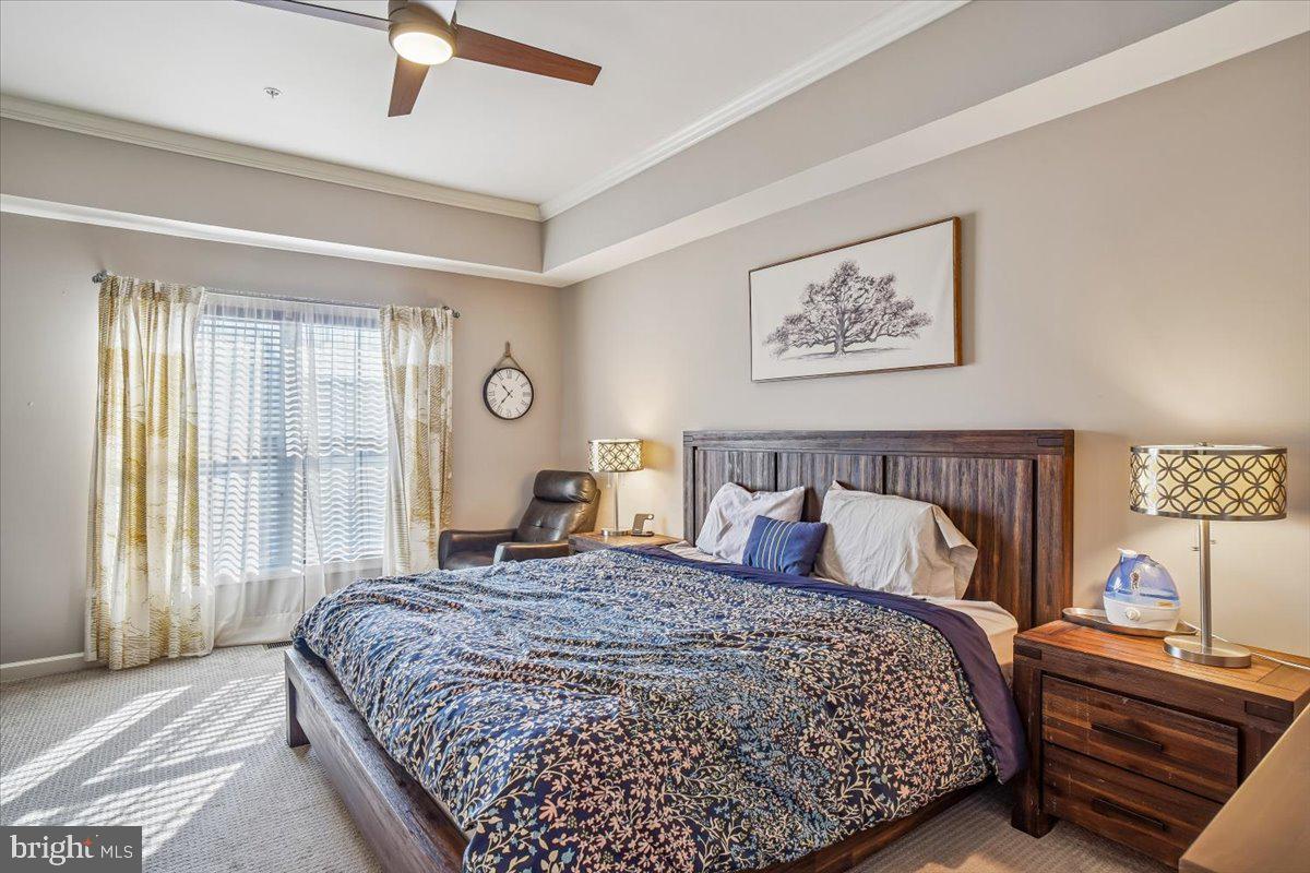 CABIN BRANCH - Residential