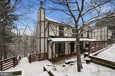 Townhouse For Sale - 475 King St A St #13 A<br/> BASYE, VA 22810