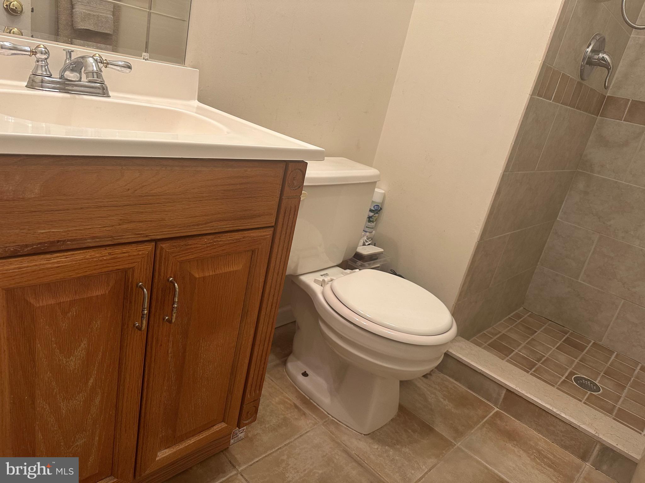 ACTON VILLAGE - Residential