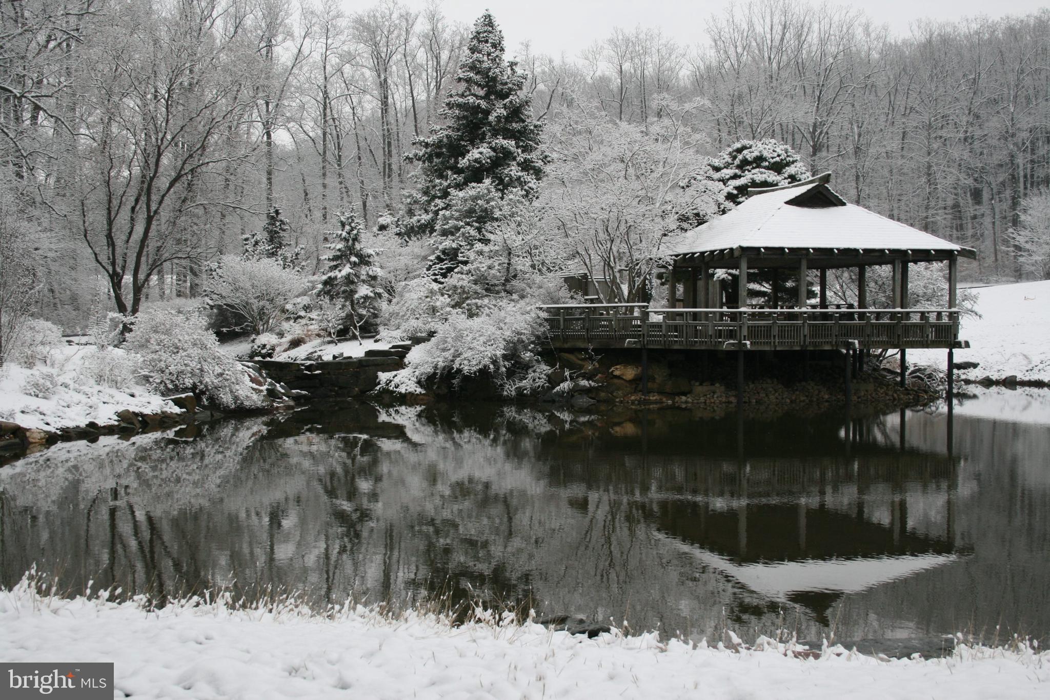 ARCOLA - Residential Lease