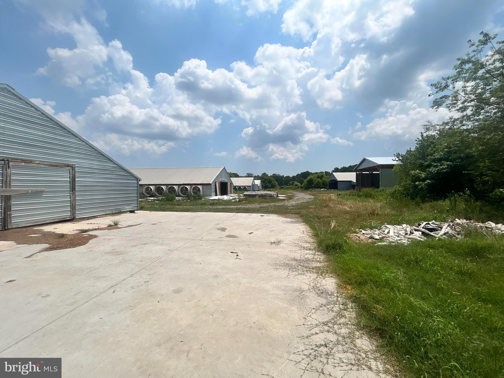 NONE AVAILABLE - Farm