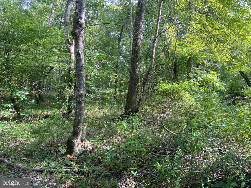 Looking for a private lot? ...Checkout this 2 acre lot in Spotsylvania. Priced below tax assessment. Zoned A-2
Proposed Subdivision Lot on Red Fern Ln with proposed cul-de-sac. Old logging road borders the property. Proposed Road Red Fern Ln. Property is mostly flat with saplings and pine trees.  Buy it as a buildable lot or get a discount and buy all three lots near each other at a discount. ( Additional 2 acre lots 32-A-89A/ 32-A-89B available for purchase as well) Zoned A-2.  Close to Lake Anna, Rt 208,  Brock Rd, Wawa, and only 30 minutes to Fredericksburg. Private roadway is partially established not established all the way down to lot. Remaining road infrastructure would need to be created and maintained by new owner