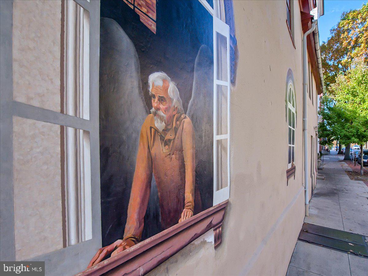 DOWNTOWN FREDERICK - Residential