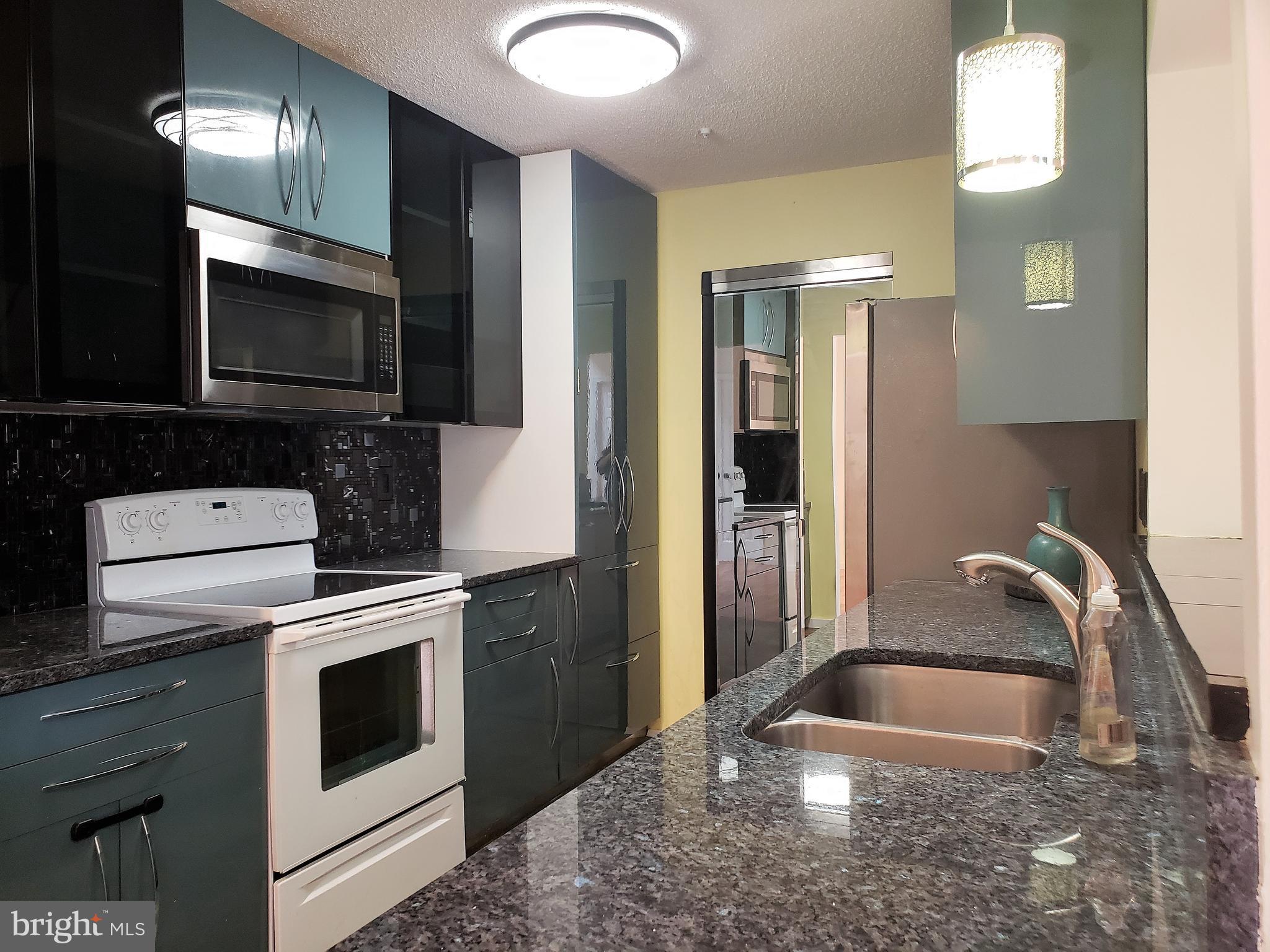 Fantastic 2 level condo features 3BR/2BA/Loft with spacious layout and luxury finishes. Freshly painted throughout, new floors. Kitchen w/granite countertops, new cabinets, new SS appliances. Expansive 2 story living room with gas fireplace and balcony. Loft w/3rd BR/ ample storage space/ 5 skylights. Washer/dryer in unit. Minutes to downtown Crown, I-270, MD-200. Immediate occupancy.