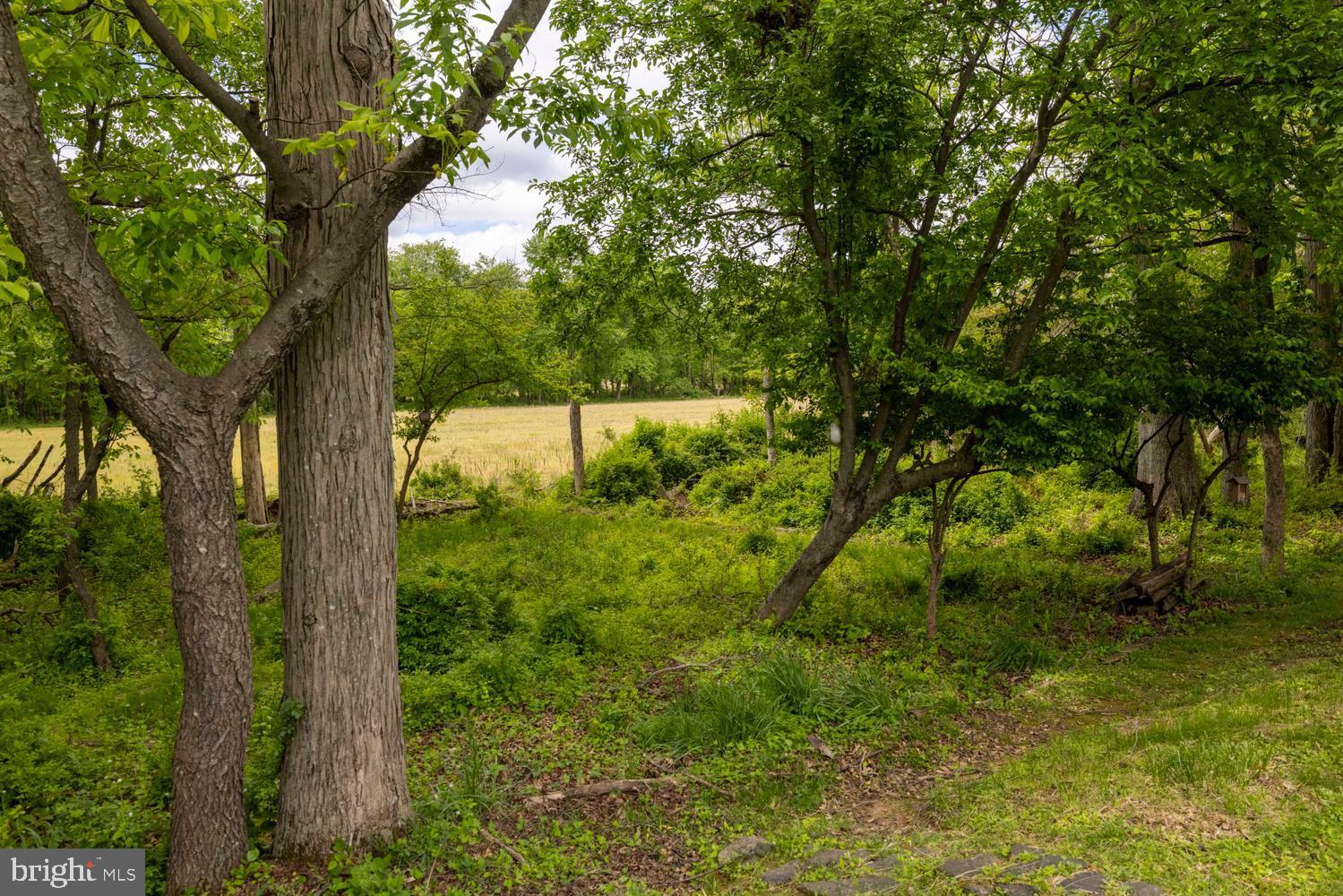 BUCKINGHAM SPRINGS - Residential