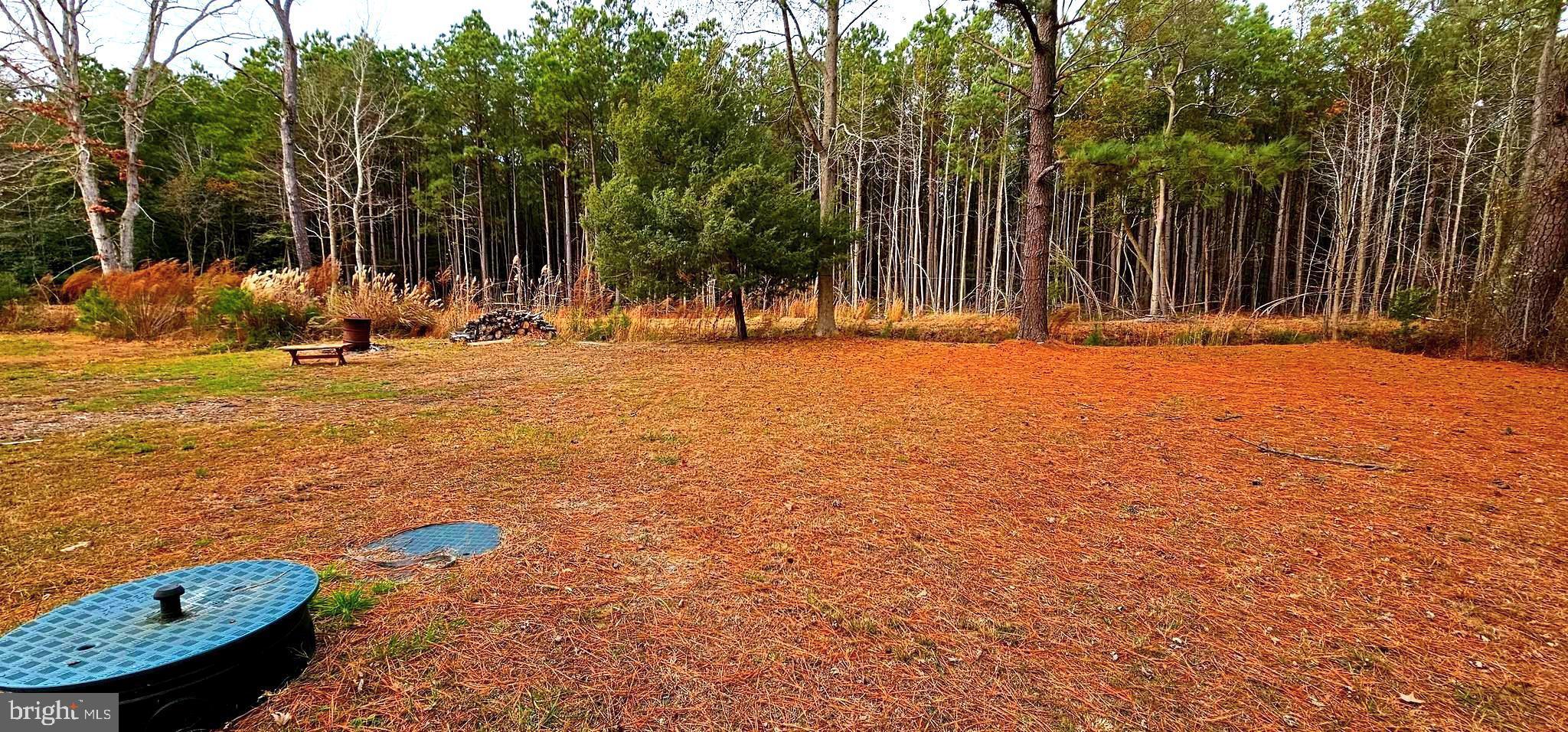 23550 DEAL ISLAND ROAD