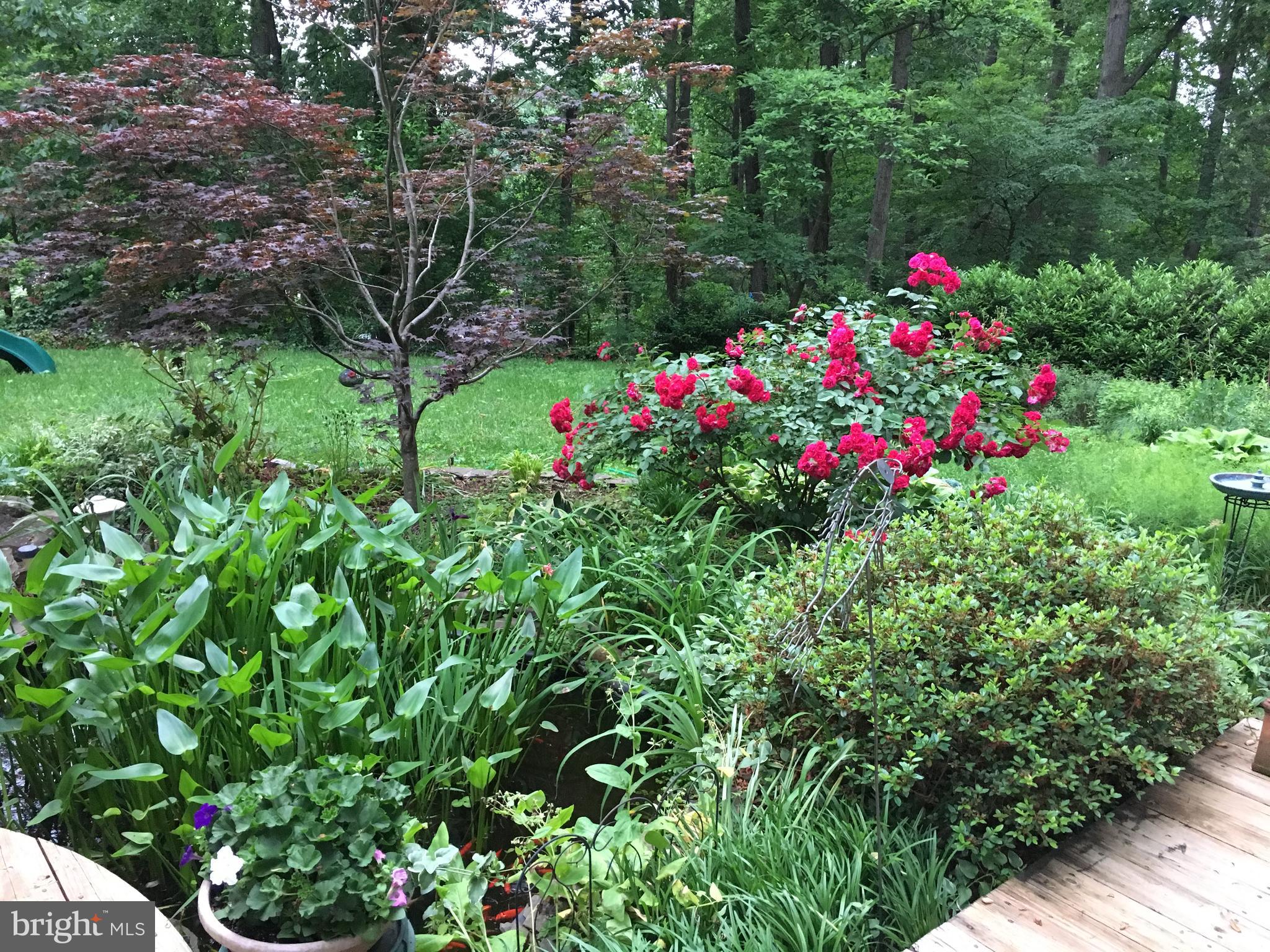 LAKE BARCROFT - Residential Lease