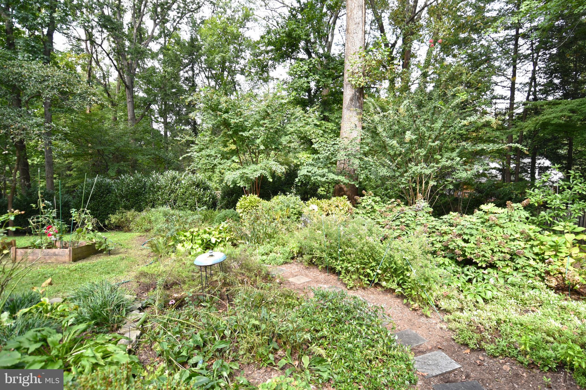 LAKE BARCROFT - Residential Lease