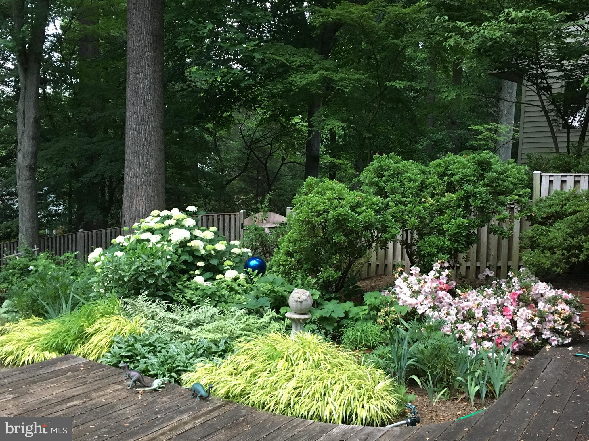 LAKE BARCROFT - Residential Lease