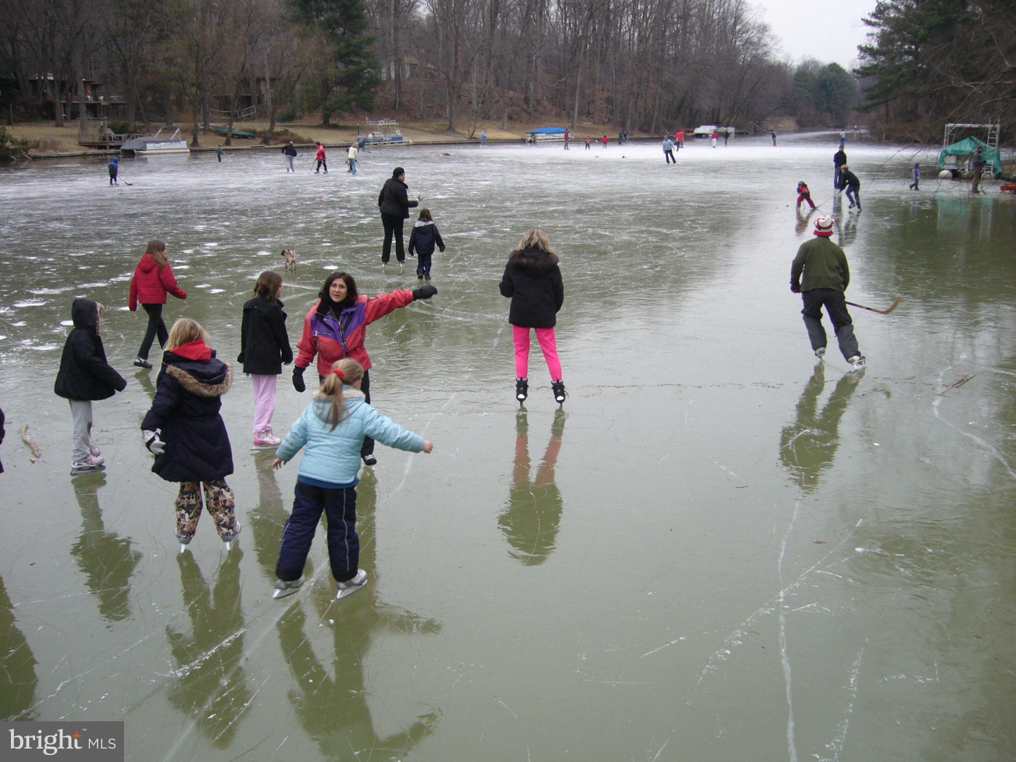 LAKE BARCROFT - Residential Lease