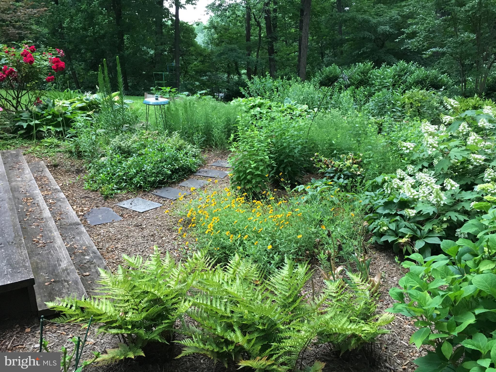 LAKE BARCROFT - Residential Lease