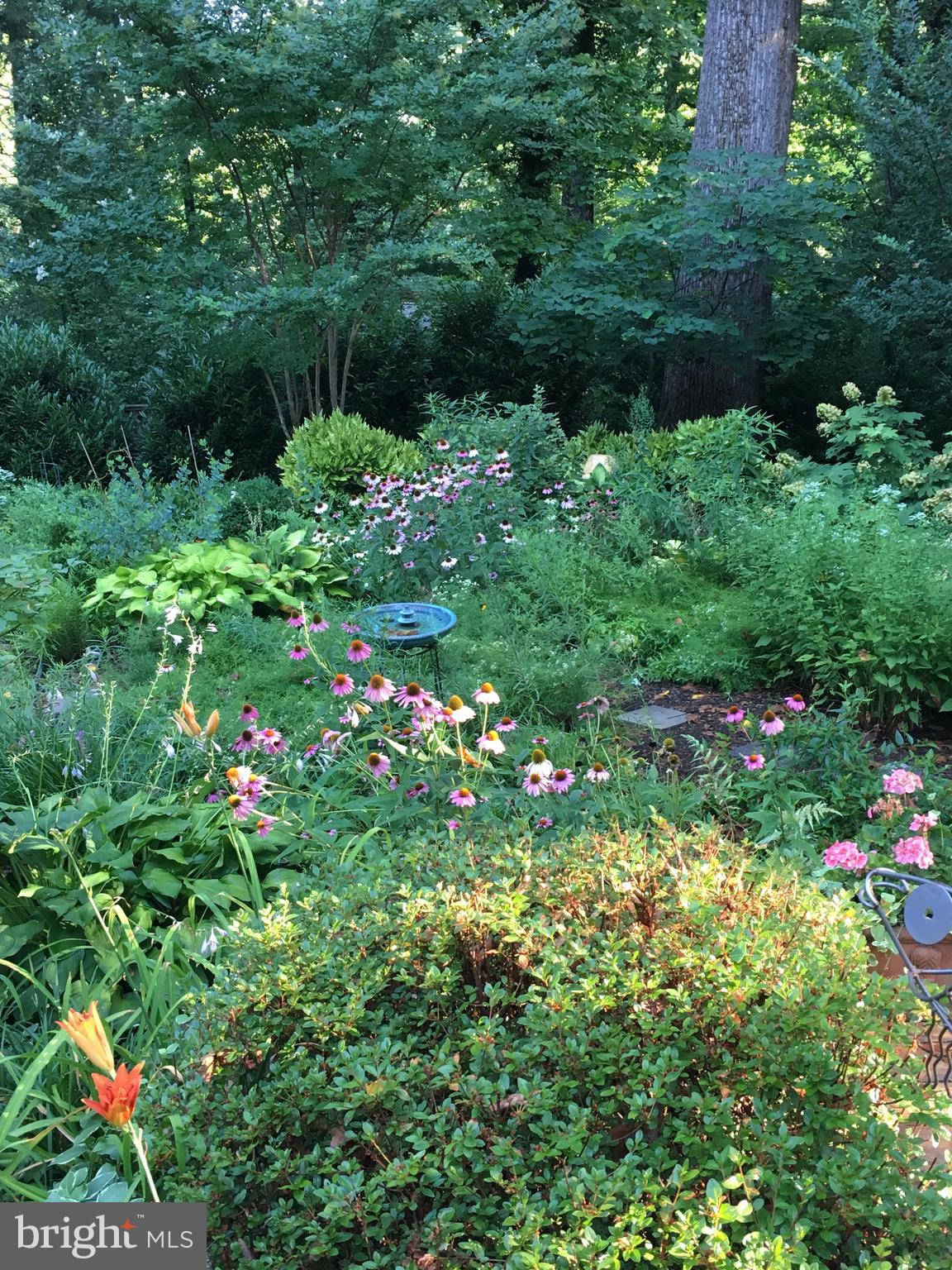 LAKE BARCROFT - Residential Lease