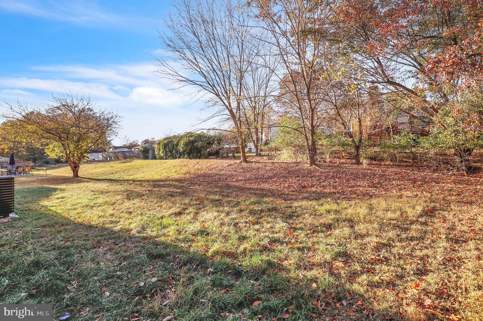 MONTPELIER WOODS- PLAT S - Residential