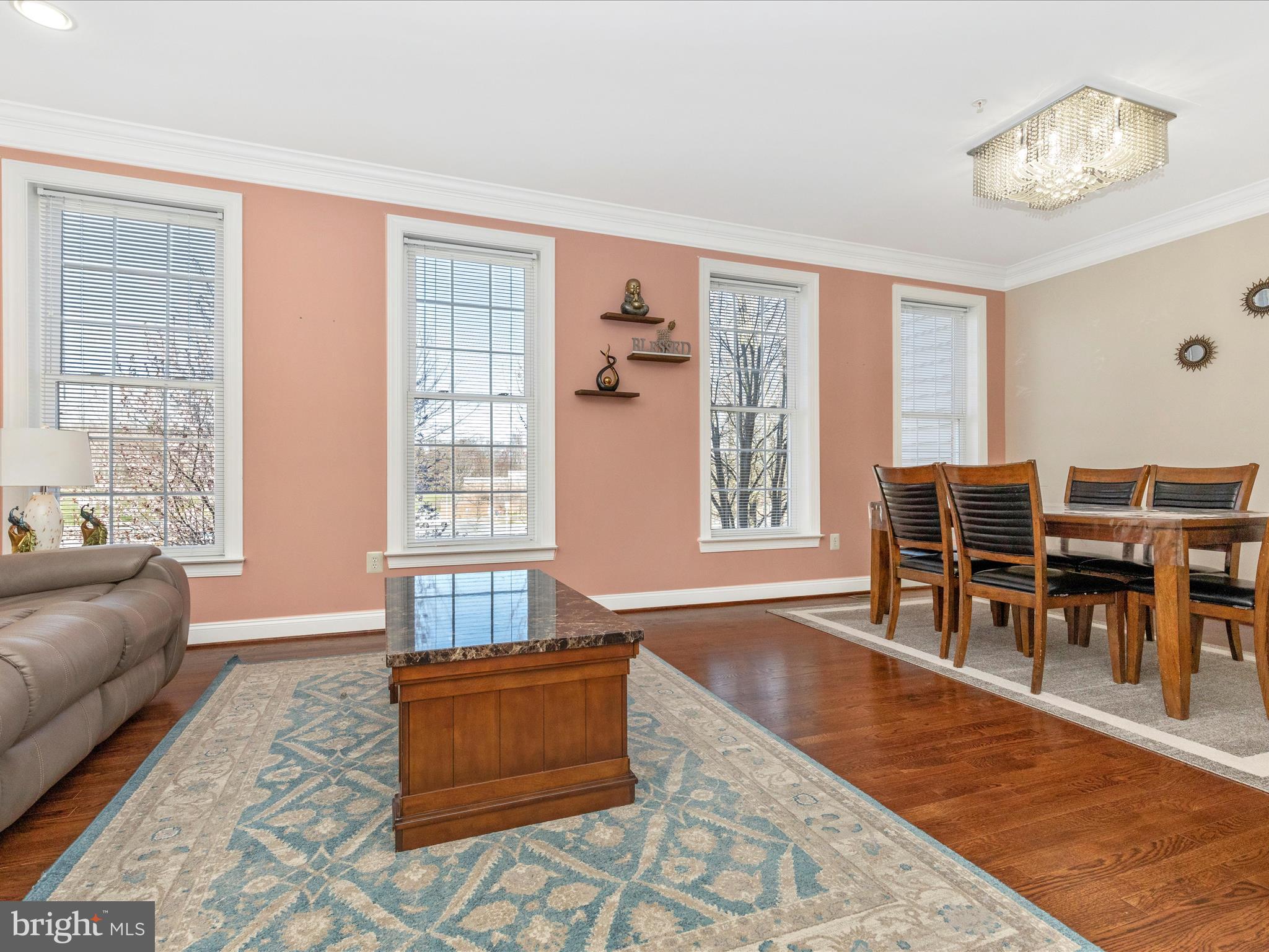 THE MEADOWS AT HURLEY RIDGE - Residential