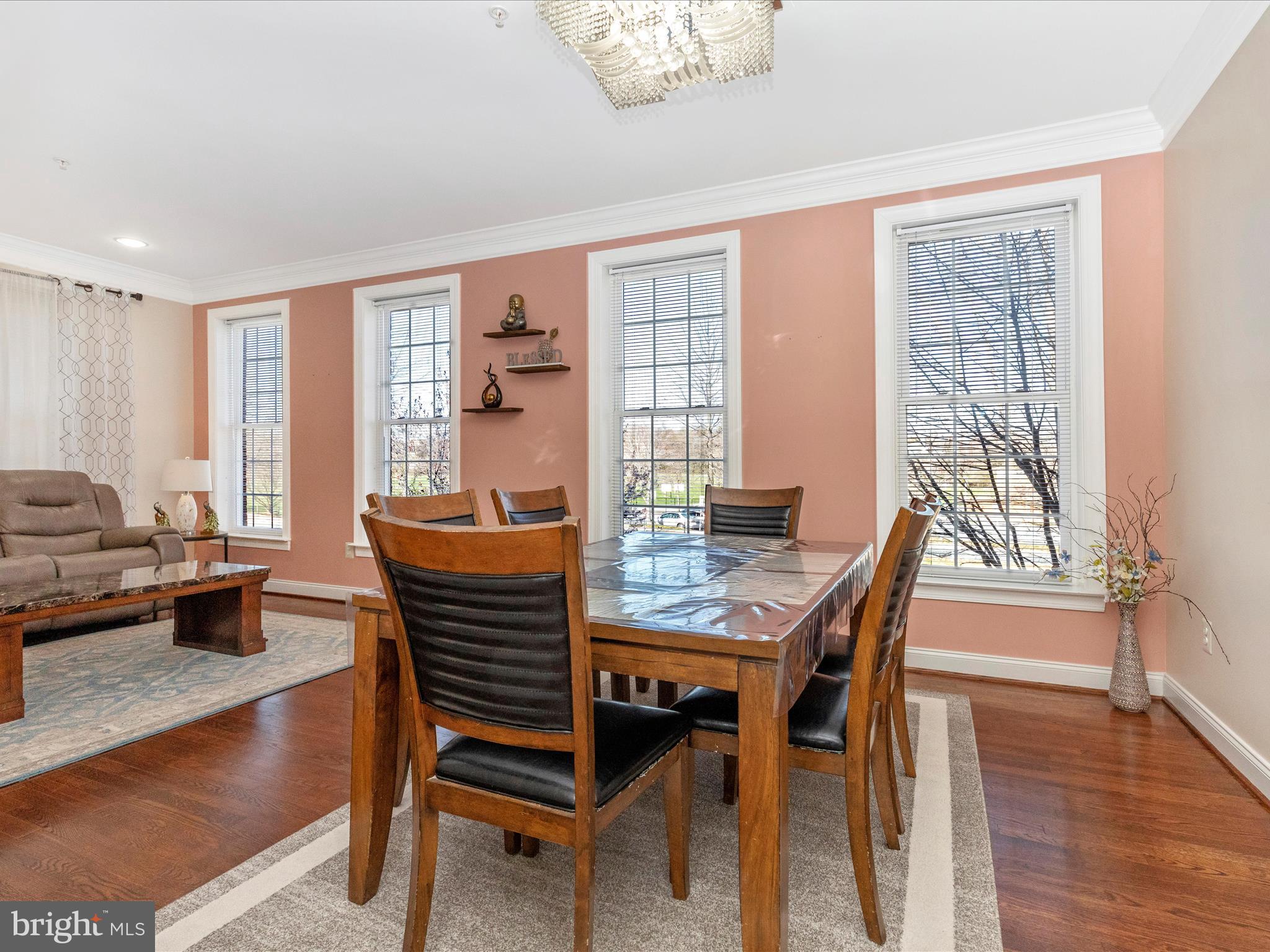 THE MEADOWS AT HURLEY RIDGE - Residential