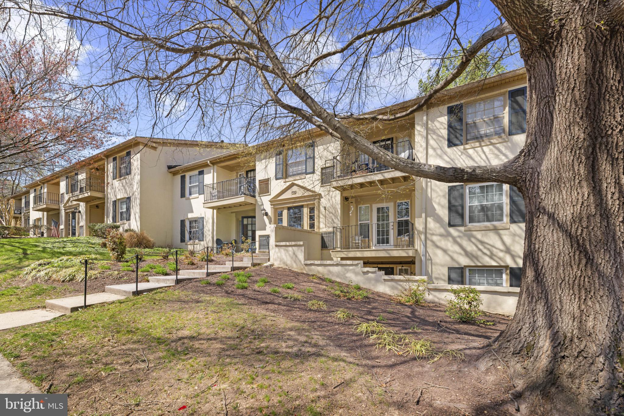 CARDINAL FOREST - Residential