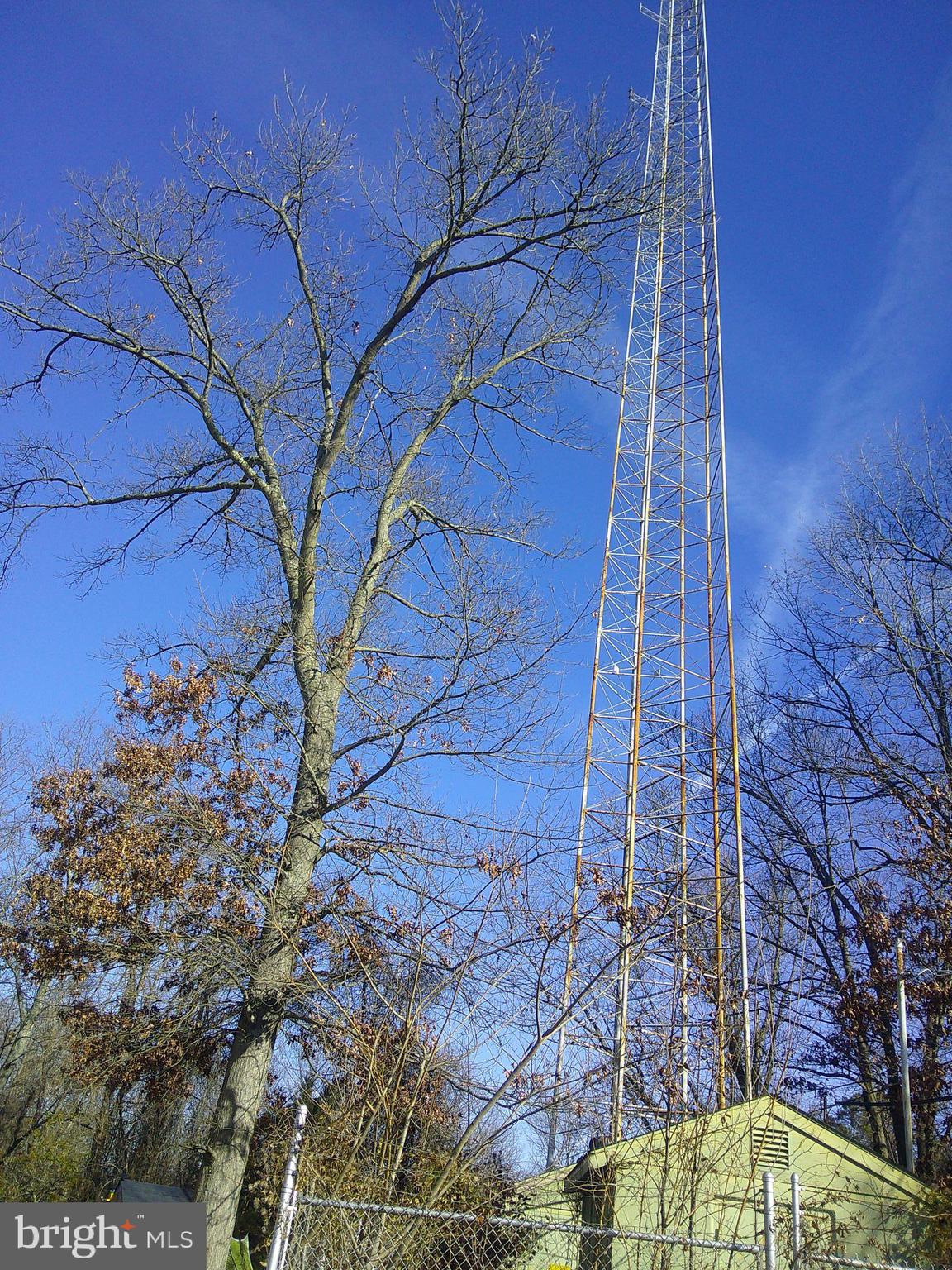 105 MOUNT CLEMENT AVENUE