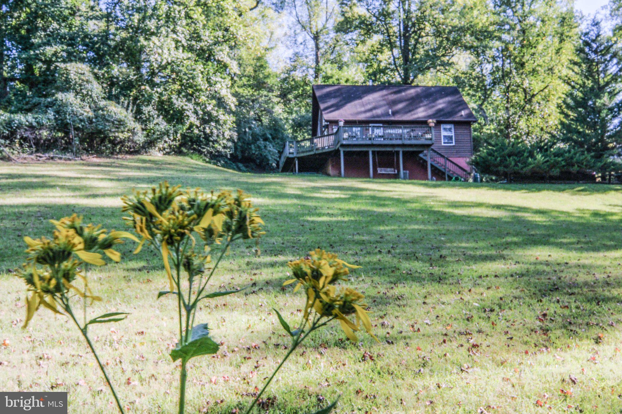 367 NORTHERN SPY DRIVE