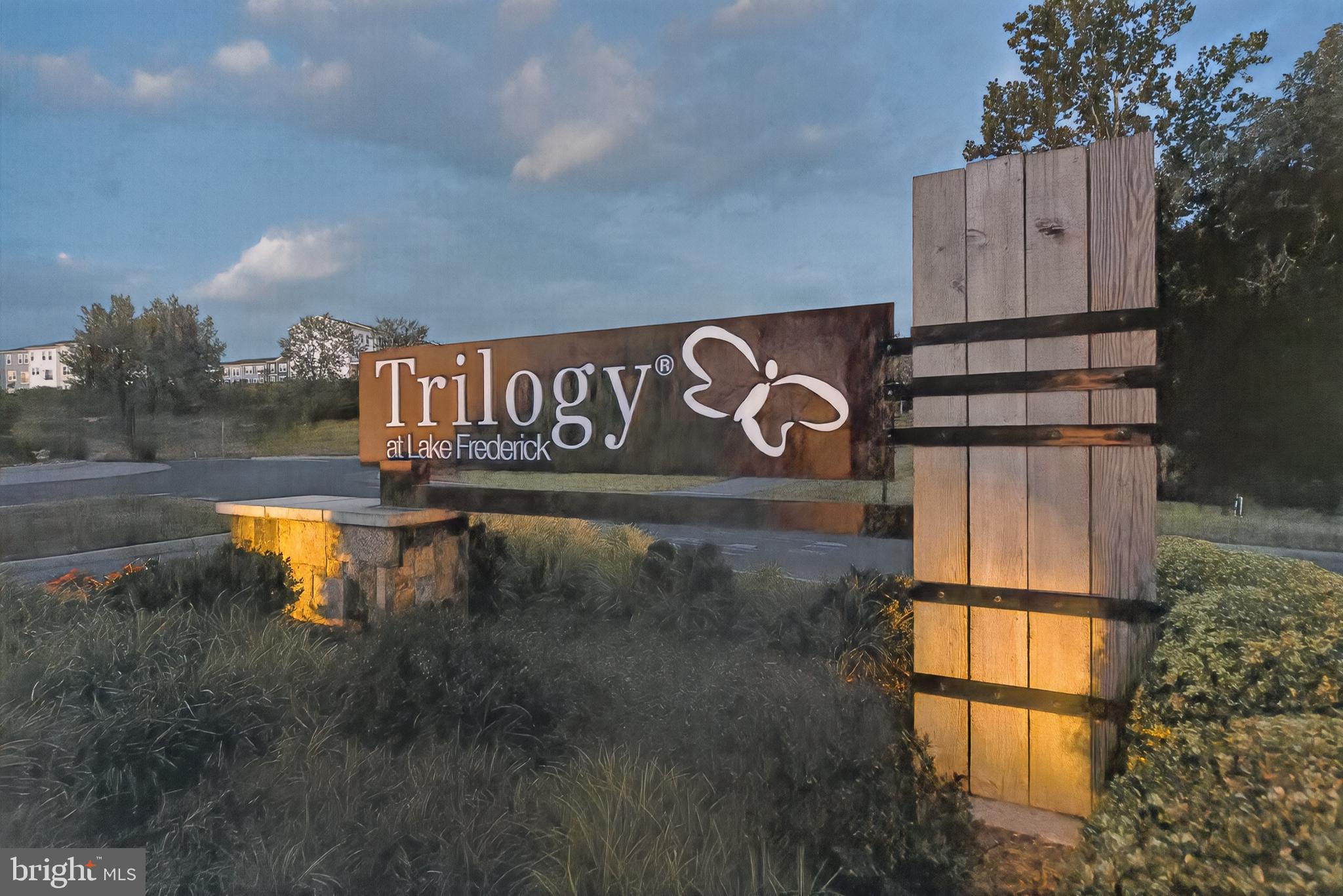 LAKE FREDERICK - Residential