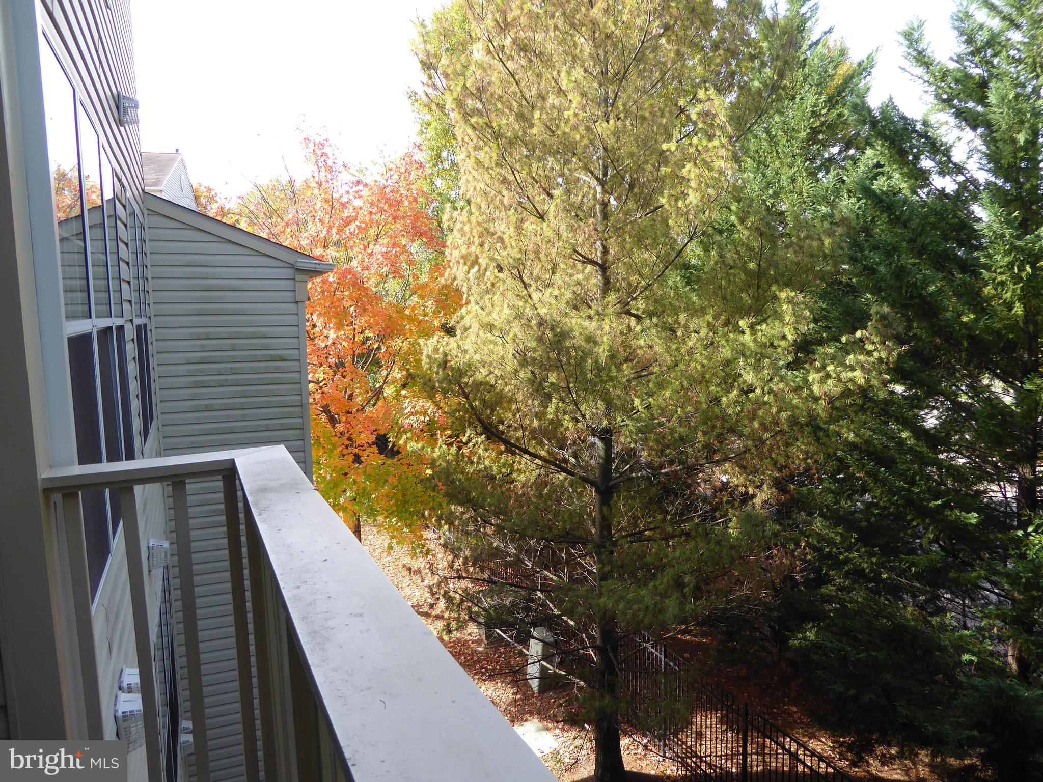 VILLAGES AT FALLS CHURCH - Residential Lease