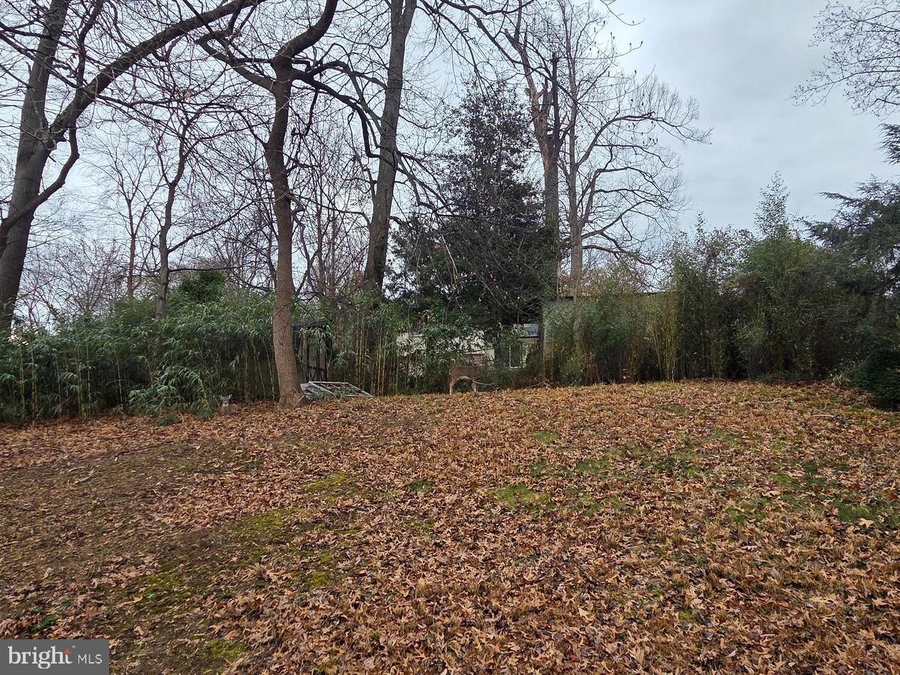 FORT WASHINGTON ESTATES - Residential