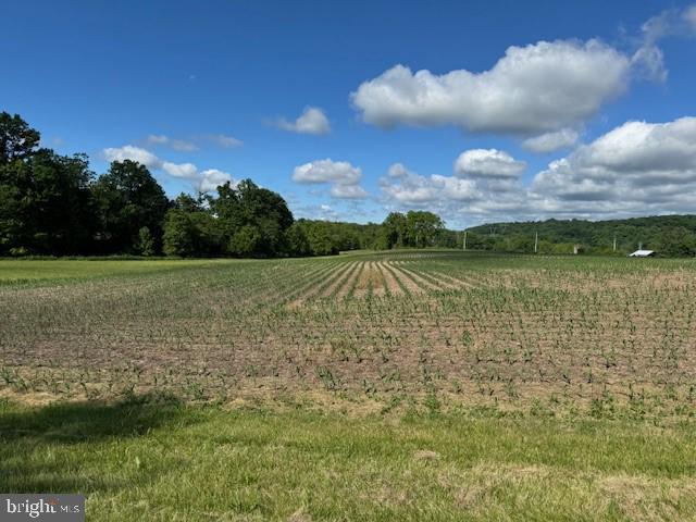 Lehigh County - 133 acre farm in the Zionsville/Spinnerstown Area. Approximately 60 acres tillable, 30 acres wooded. Two streams and two ponds. 2,048 sq. ft. 4 bedroom farm house in need of repair. Two additional bungalow type homes, currently rented. All homes have their own septic. Shed, fruit stand. Level to rolling terrain. Great hunting! Bring your agricultural ideas & begin collecting rent immediately. There is a mobile home on the premises that is uninhabitable, but has its own septic.