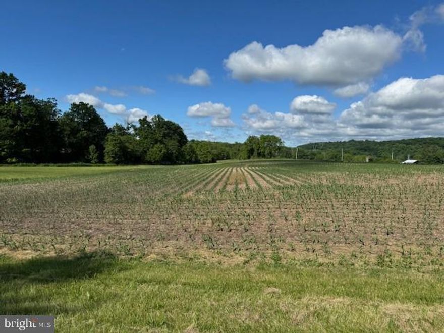 Lehigh County - 133 acre farm in the Zionsville/Spinnerstown Area. Approximately 60 acres tillable, 30 acres wooded. Two streams and two ponds. 2,048 sq. ft. 4 bedroom farm house in need of repair. Two additional bungalow type homes, currently rented. All homes have their own septic. Shed, fruit stand. Level to rolling terrain. Great hunting! Bring your agricultural ideas & begin collecting rent immediately. There is a mobile home on the premises that is uninhabitable, but has its own septic.