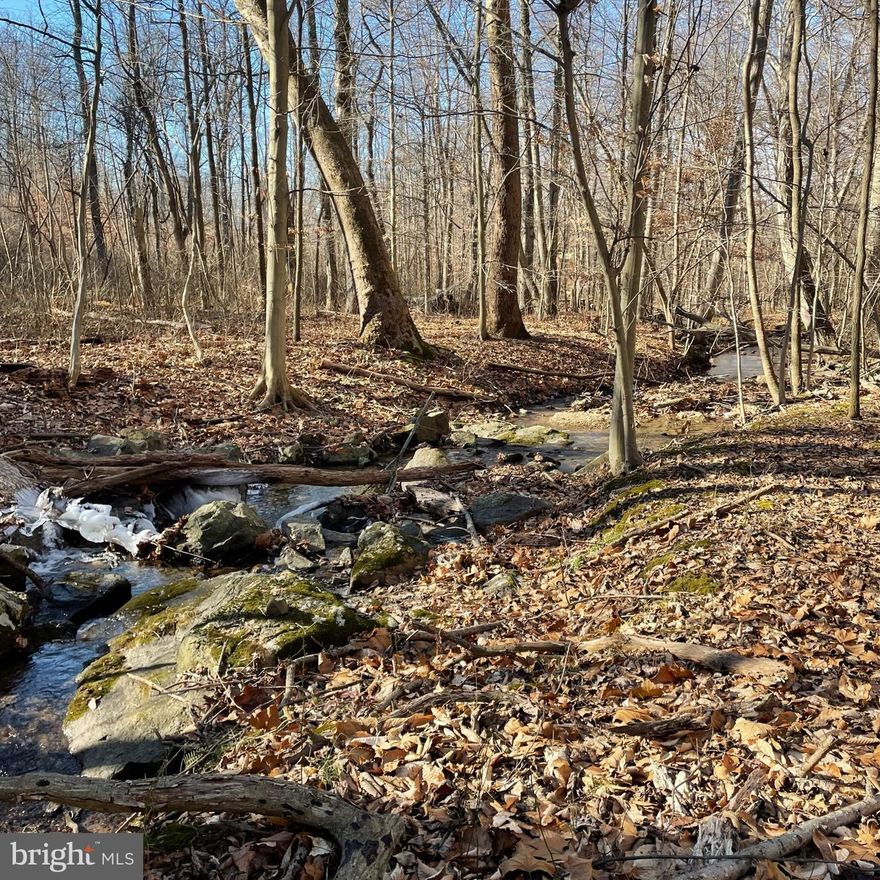 This lot is 6.41 Acres of wooded land with great road frontage and two streams.    This land  has been in the family since the 1800's and has never been available to the public before!!!  This is property has a lot of potential for the nature lover, or explorer.  You will love the babbling brooks and beautiful trees.  The property is so peaceful and serene.   Easy hike to Gambrills State park 1207 acres of beauty and all the  trails the park has to offer.  Don't miss your chance to own a little park like property next to a park . Property is not perc tested , has no structures and no well.  The property is part of a Trust. 
This is a " Lot of public taking"  in Frederick  which basically means  a property recorded prior to 1976 and has not been the subject of a recorded subdivision plat and HAS been divided by public  road  may create a  lot on one side of the road.  (No recorded deed or public record YET but will be on file soon)