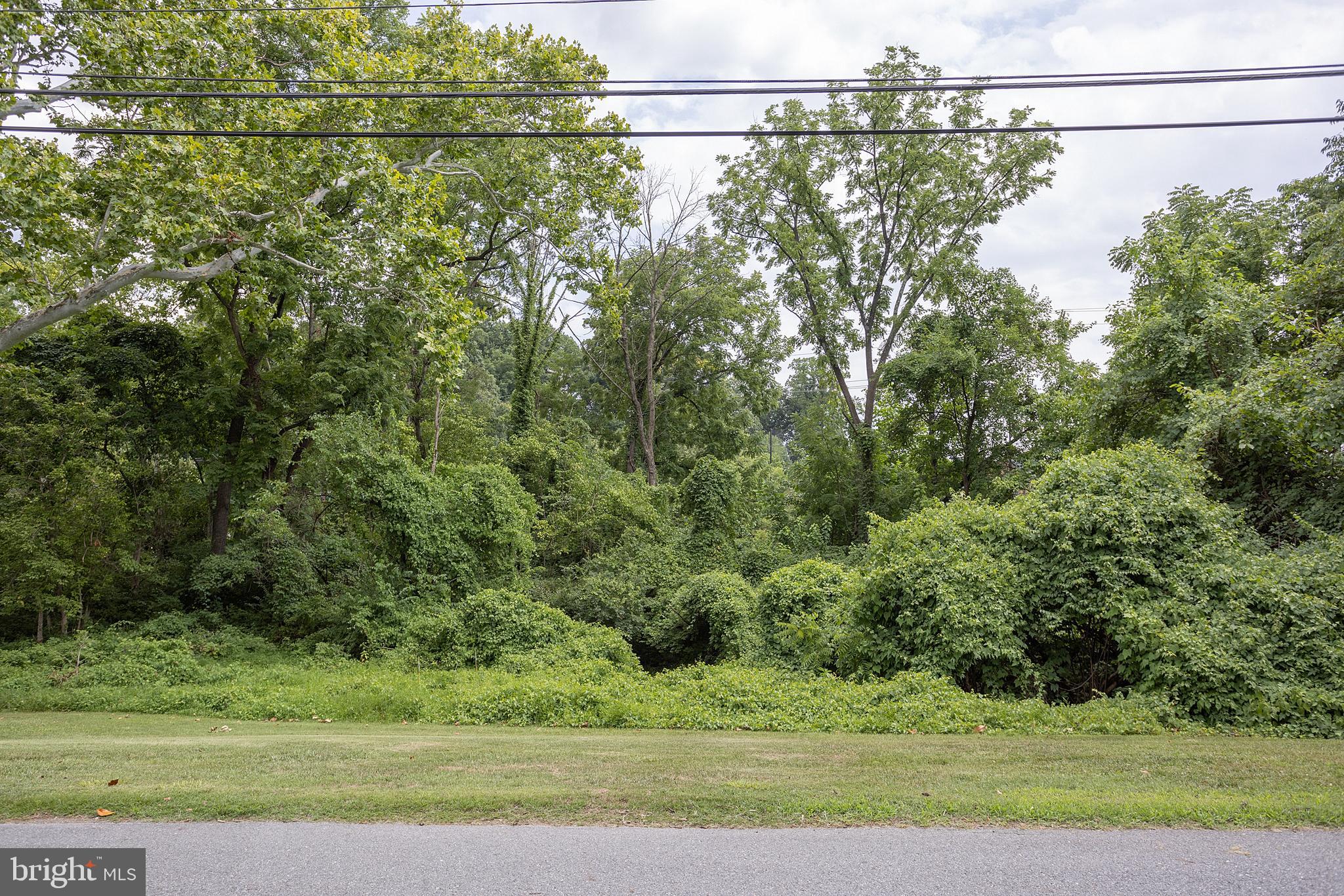 LOCUST HILL ESTATES - Residential