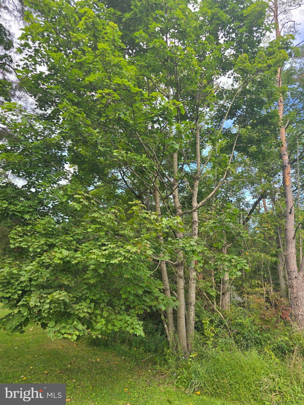 0 E ADAMSDALE ROAD