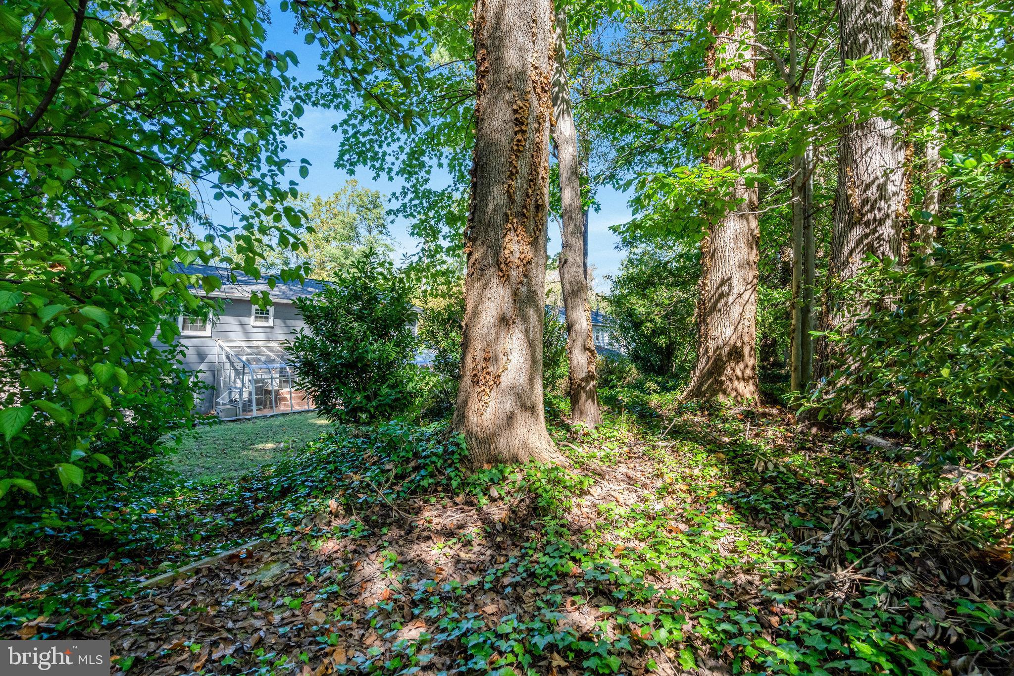 ORANGE HUNT ESTATES - Residential Lease