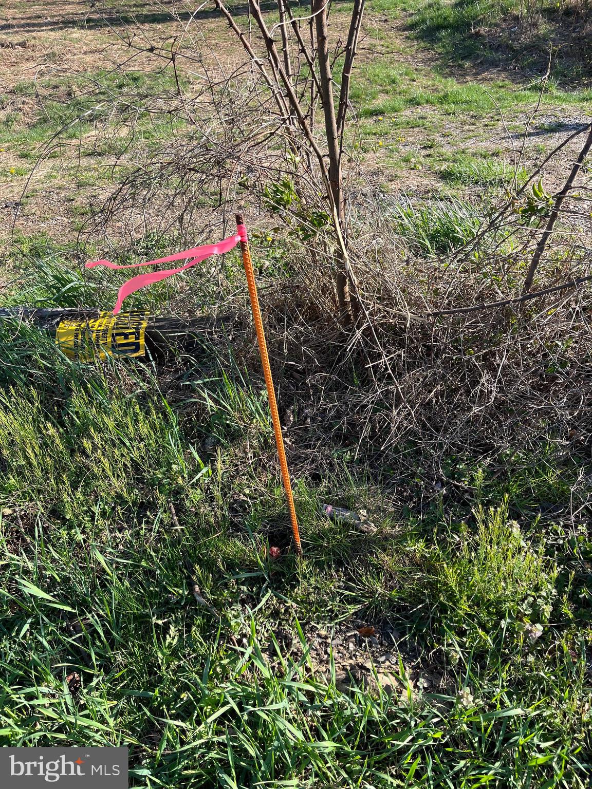 CHESTNUT STREET - Land