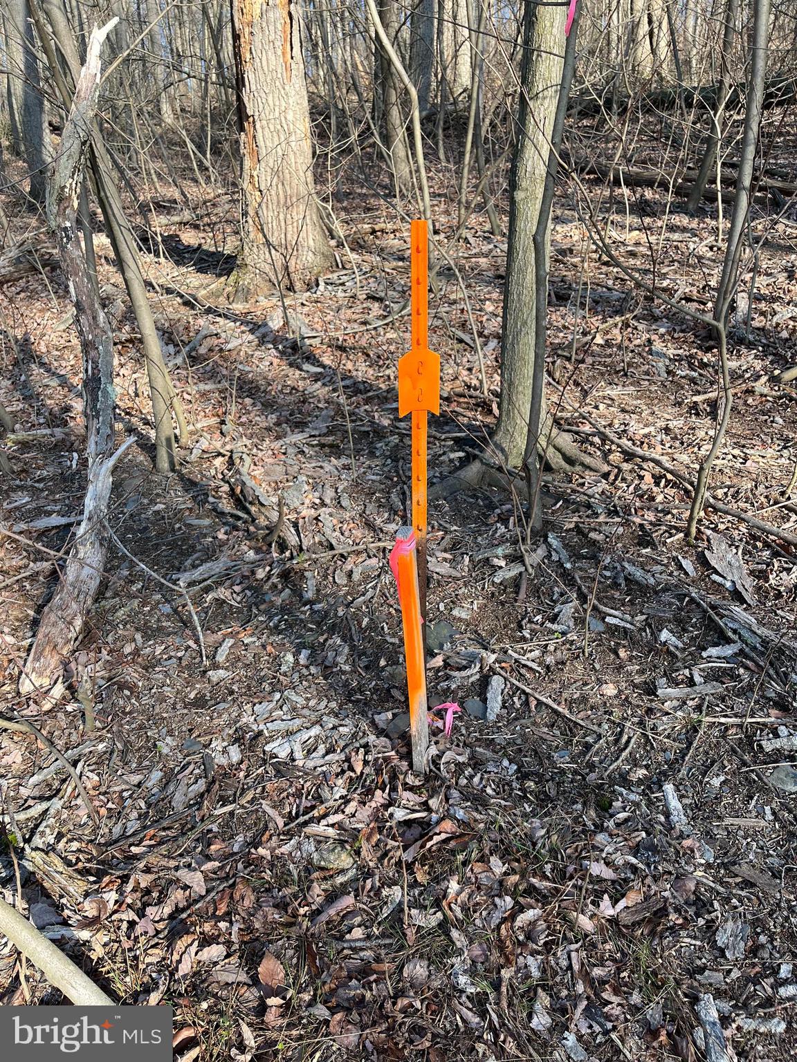 CHESTNUT STREET - Land