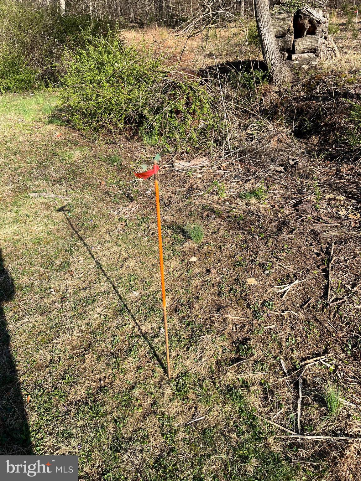 CHESTNUT STREET - Land