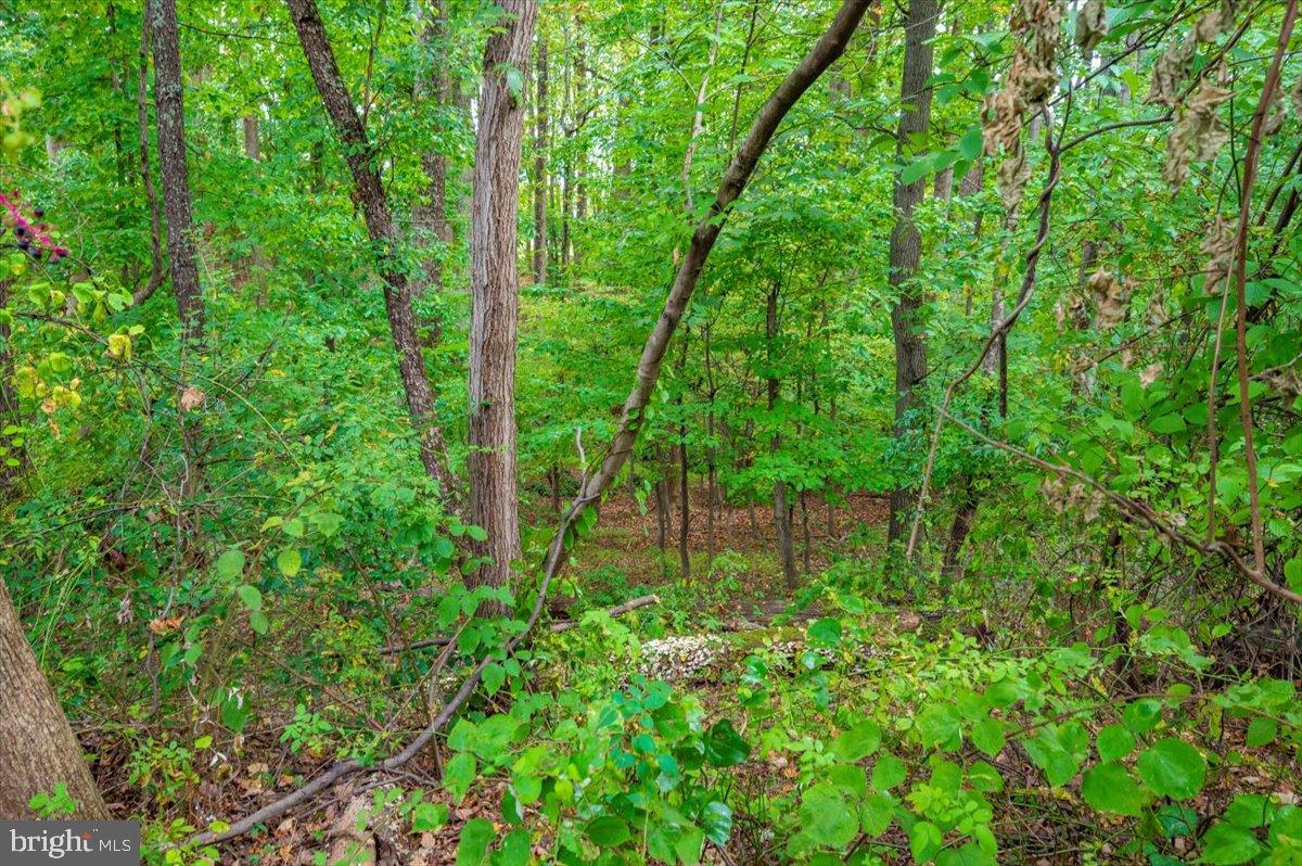 SHADOW OAK - Residential